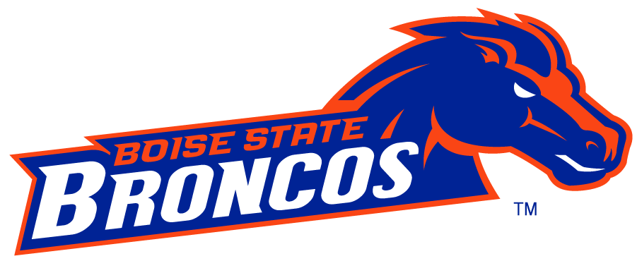 Boise State Broncos 2002-2012 Secondary Logo v28 DIY iron on transfer (heat transfer)